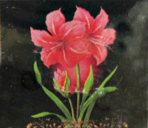 Алмазн. выш.* (уп.1наб) (част. выкл., 3D, матов. кругл. стр 2,5) арт.191716 (28х28) Цветы Алмазн. выш.* (уп.1наб) (част. выкл., 3D, матов. кругл. стр 2,5) арт.191716 (28х28) Цветы
