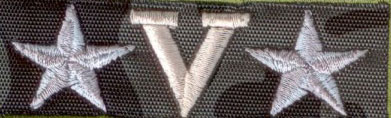 Лейбл клеевой (уп. 12 шт.) 90х31 мм арт. 1629 "V" Лейбл клеевой (уп. 12 шт.) 90х31 мм арт. 1629 "V"