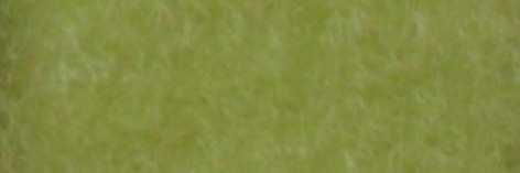 Липучка шир. 50 мм № 2007 (JL007) (НМ 189) салатовый