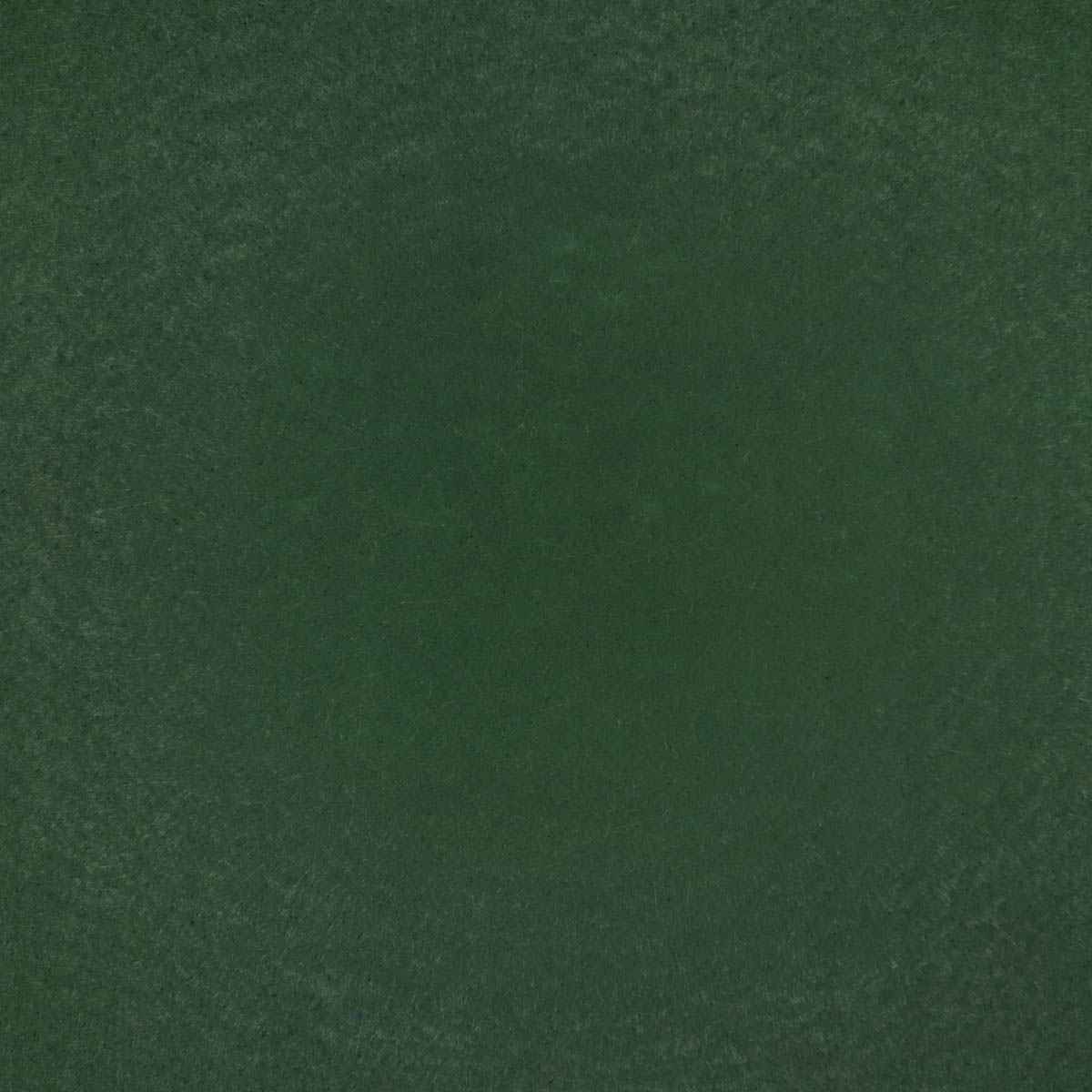 Фетр жесткий (уп. 10 шт) толщ. 1 мм (20х30см) арт.1205 (099 ДС) зеленый ^